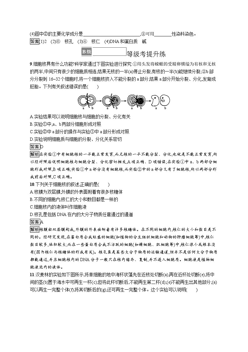 第3章 细胞的基本结构 第3节 细胞核的结构和功能 试卷03