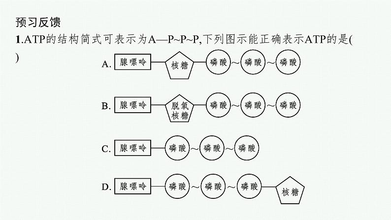 第5章 细胞的能量供应和利用 第2节 细胞的能量“货币”ATP课件PPT06