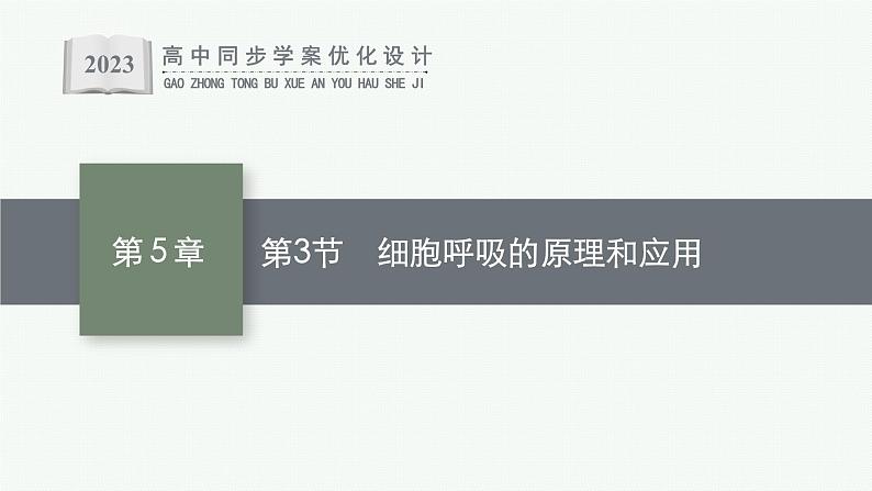 第5章 细胞的能量供应和利用 第3节 细胞呼吸的原理和应用课件PPT01