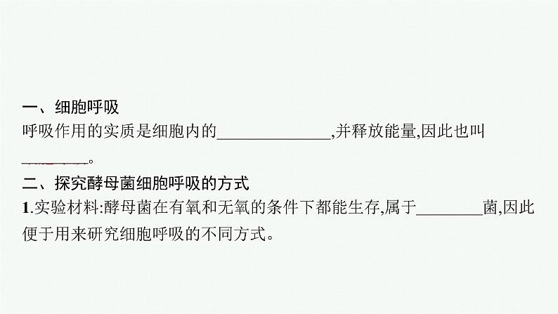 第5章 细胞的能量供应和利用 第3节 细胞呼吸的原理和应用课件PPT05