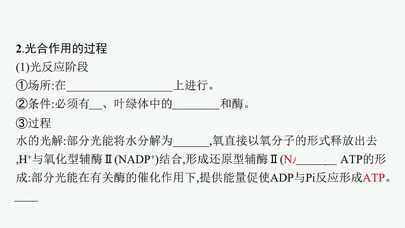 第5章 细胞的能量供应和利用 第4节 第2课时 光合作用的原理和应用课件PPT第6页