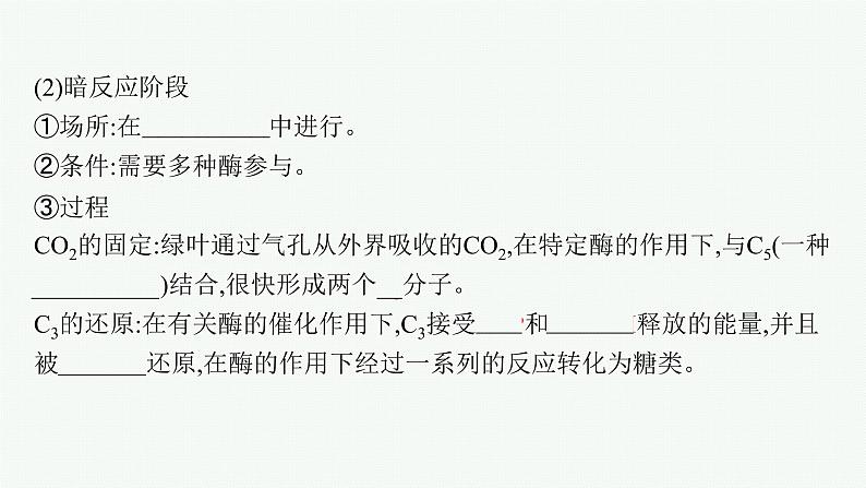 第5章 细胞的能量供应和利用 第4节 第2课时 光合作用的原理和应用课件PPT第7页