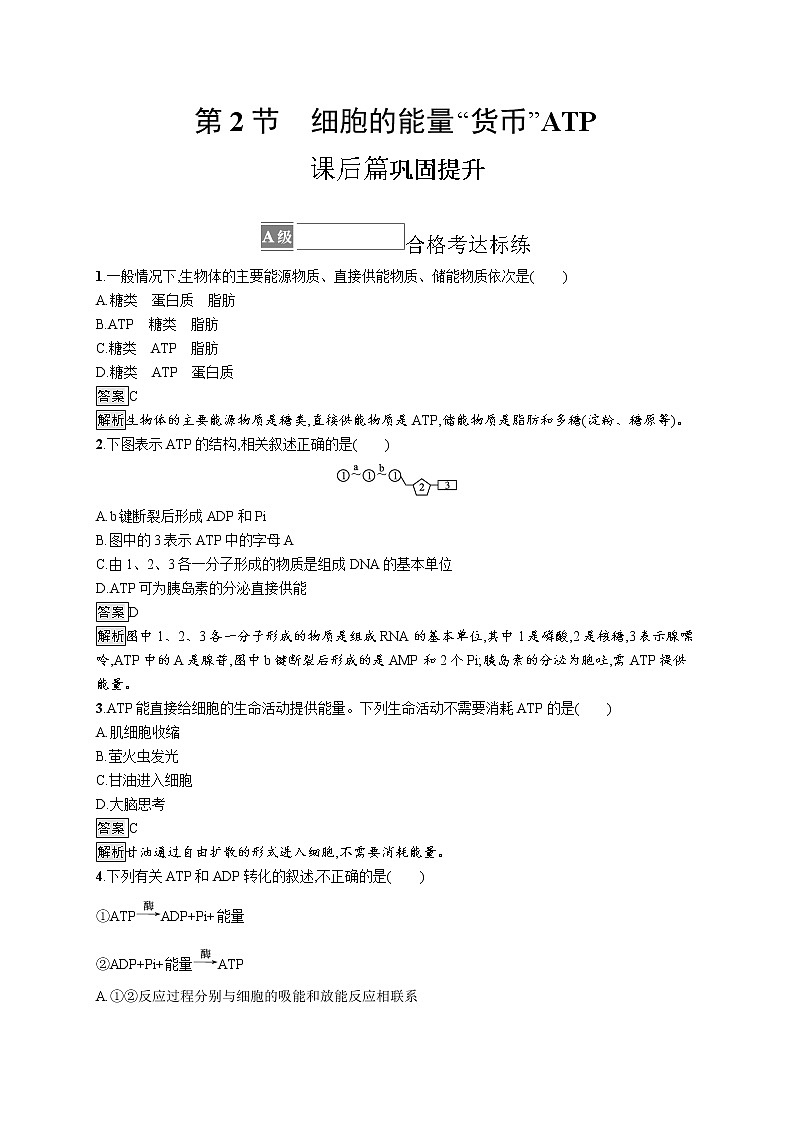 第5章　細(xì)胞的能量供應(yīng)和利用 第2節(jié)　細(xì)胞的能量“貨幣”ATP第1頁