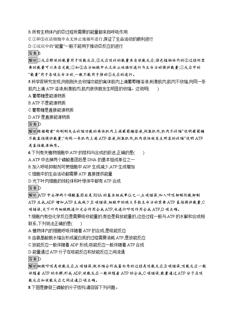 第5章　細(xì)胞的能量供應(yīng)和利用 第2節(jié)　細(xì)胞的能量“貨幣”ATP第2頁