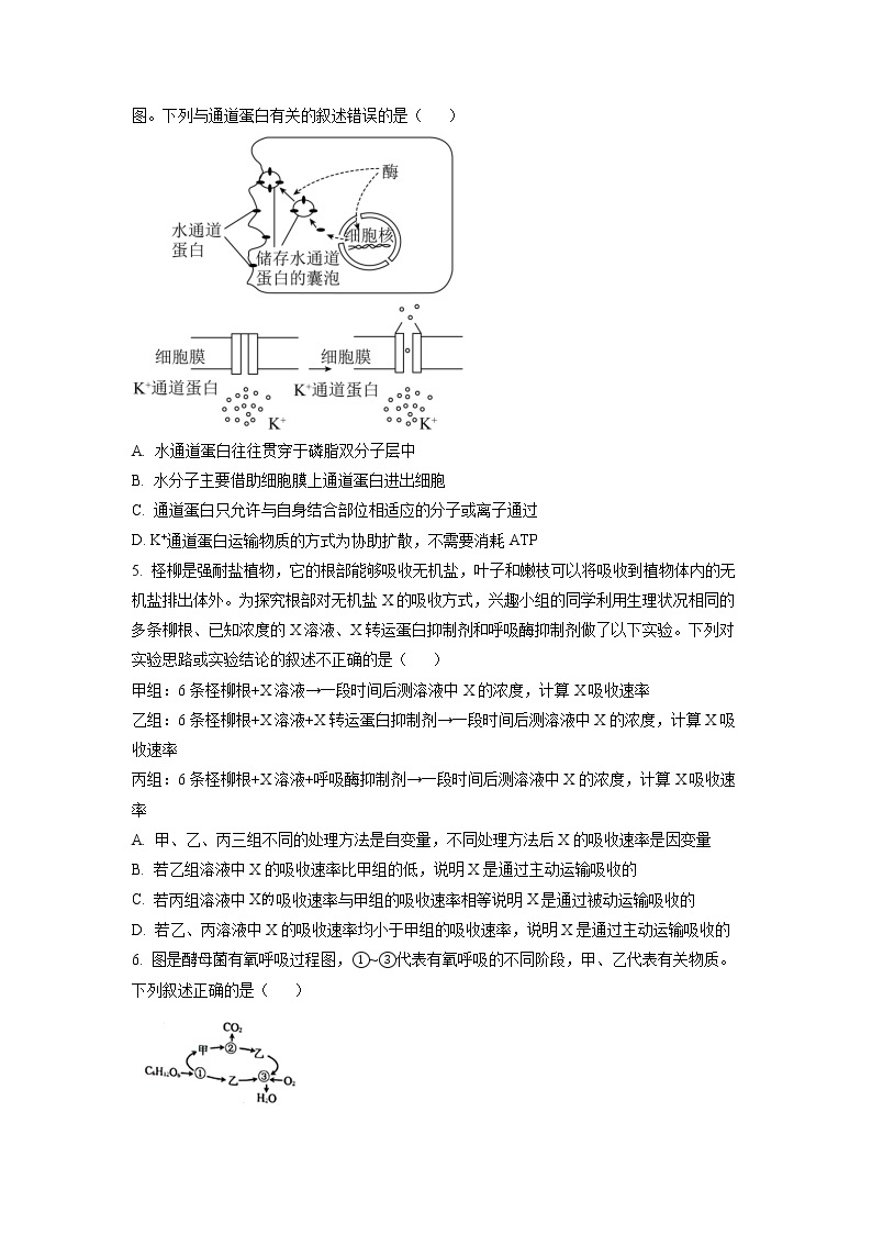 重庆市西南大学附属中学2022-2023学年高一生物下学期第一次月考试题（Word版附答案）02