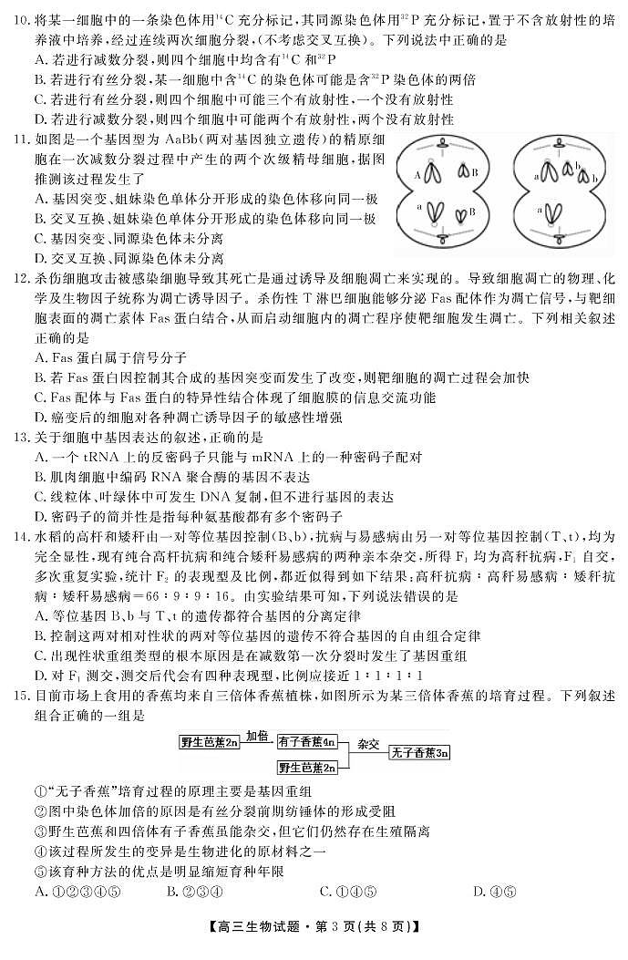 2019届湖南省三湘名校教育联盟高三上学期第二次大联考生物试题 PDF版03