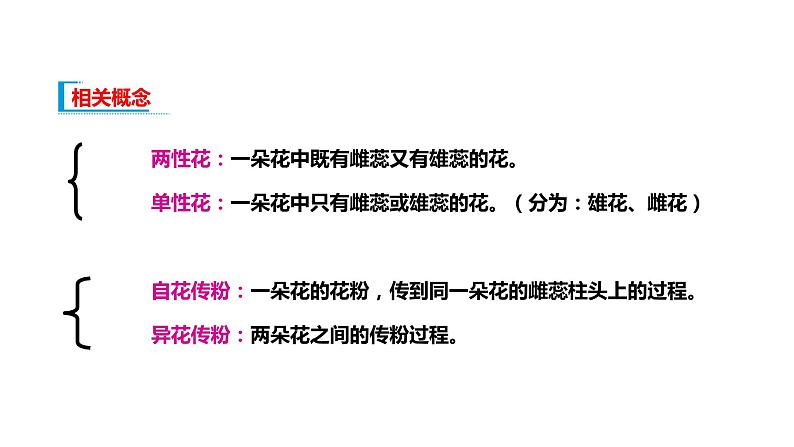 配套新教材-高中生物学-RJ-必修2第1章- 第1节课件PPT第7页