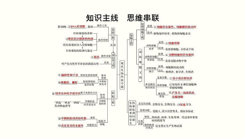 高中生物高考第十五单元 现代生物科技专题(课件)02