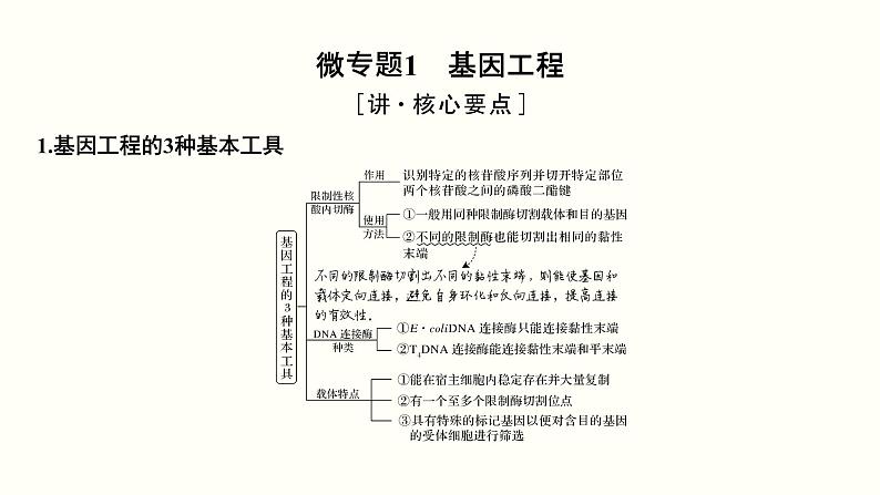 高中生物高考第十五单元 现代生物科技专题(课件)03