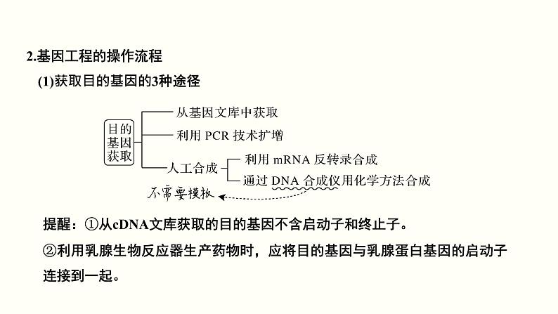 高中生物高考第十五单元 现代生物科技专题(课件)04