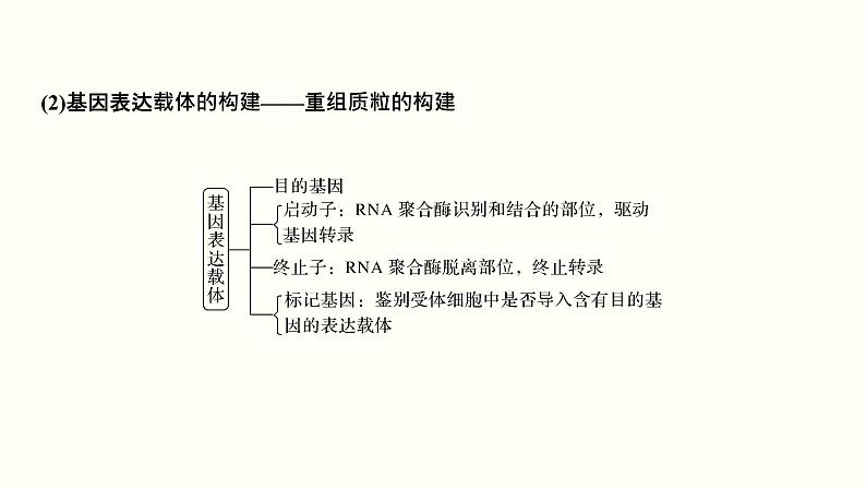 高中生物高考第十五单元 现代生物科技专题(课件)06
