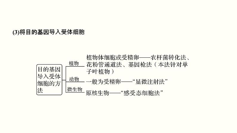 高中生物高考第十五单元 现代生物科技专题(课件)07