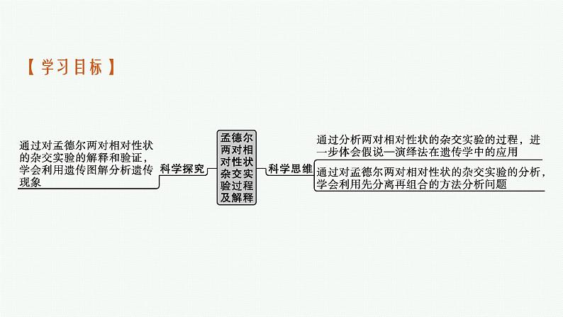 第2节 第1课时 孟德尔两对相对性状杂交实验过程及解释课件PPT第3页