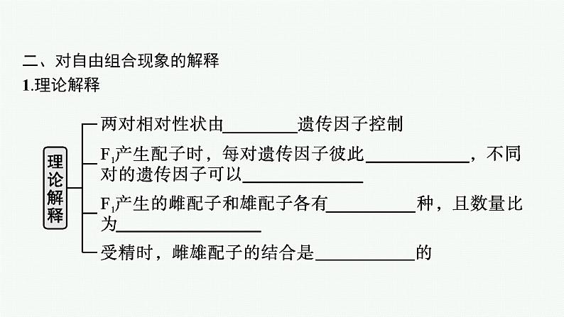 第2节 第1课时 孟德尔两对相对性状杂交实验过程及解释课件PPT第7页