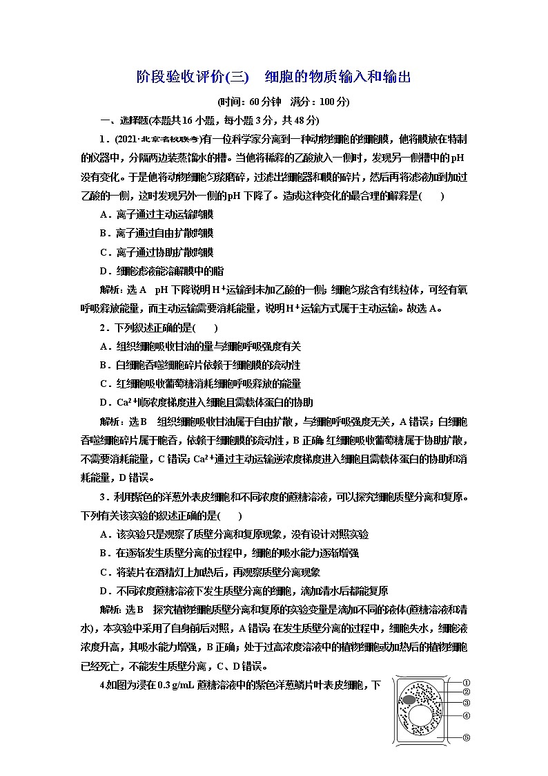 阶段验收评价(三) 细胞的物质输入和输出 试卷01
