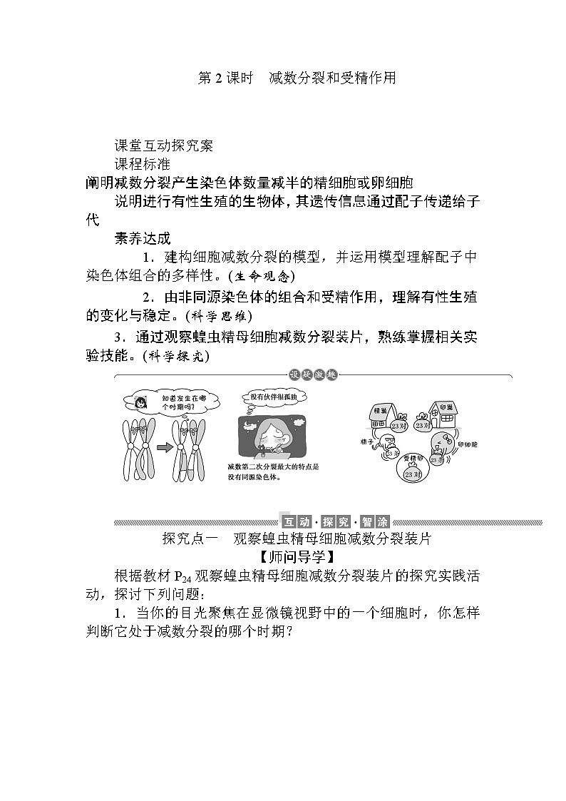 2.1.第2课时 减数分裂和受精作用 试卷01