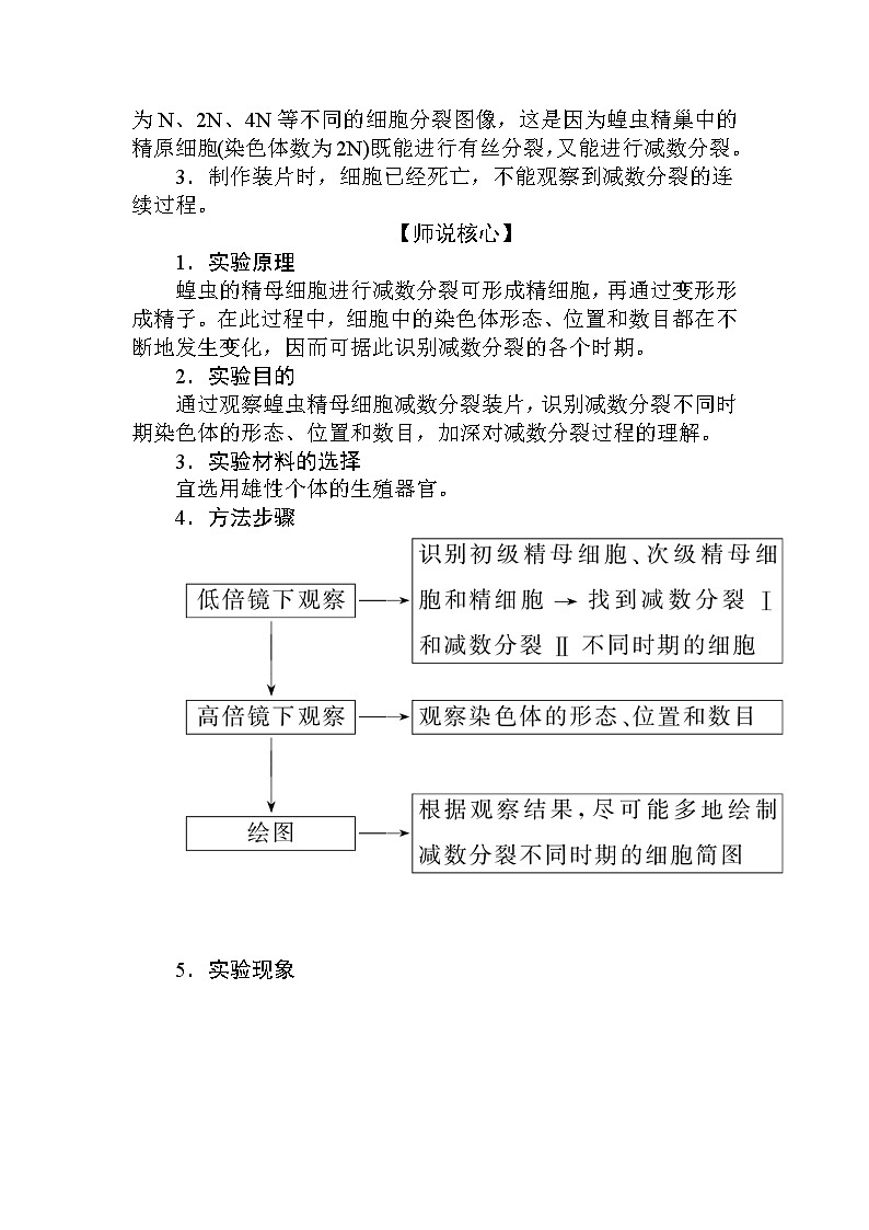 2.1.第2课时 减数分裂和受精作用 试卷03