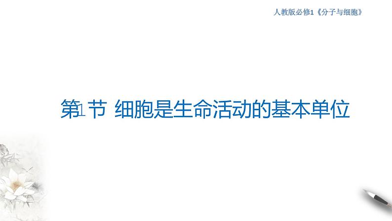 高中生物第一册 1 1 细胞是生命活动的基本单位 课件第1页