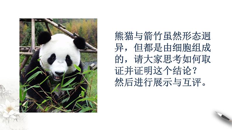 高中生物第一册 1 1 细胞是生命活动的基本单位 课件第2页