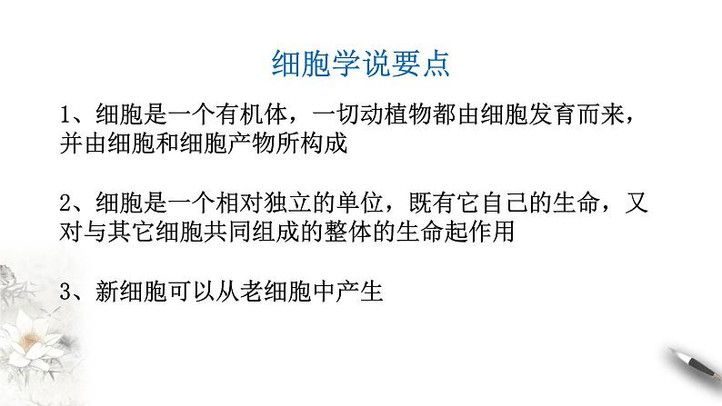 高中生物第一册 1 1 细胞是生命活动的基本单位 课件第4页