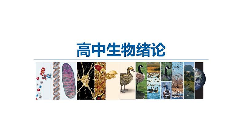 高中生物第一册 1 1细胞是生命活动的基本单位 课件学年01