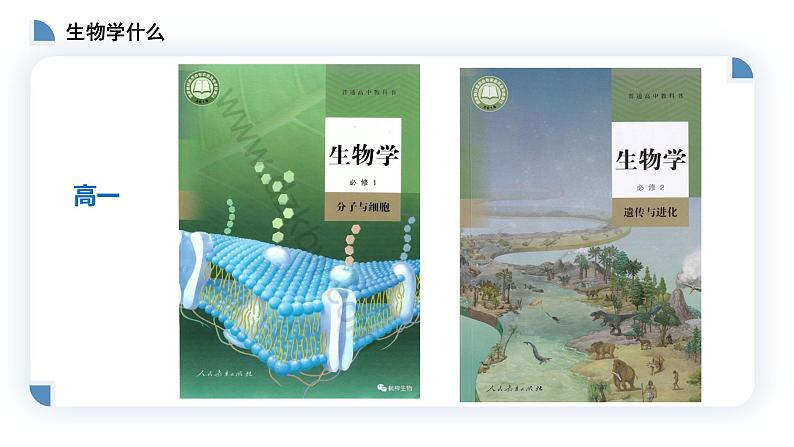 高中生物第一册 1 1细胞是生命活动的基本单位 课件学年02