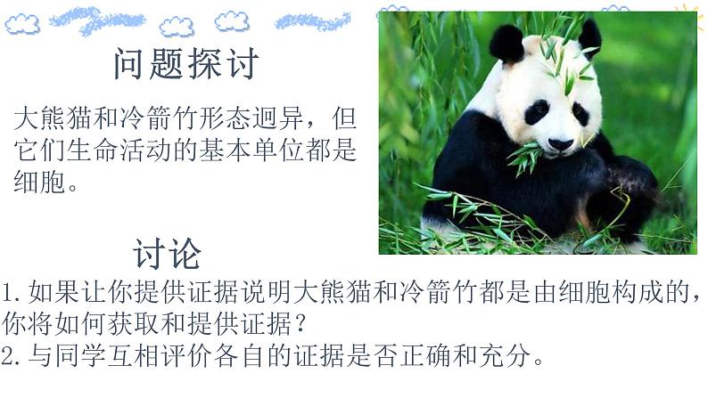 高中生物第一册 1 1细胞是生命活动的基本单位课件 20第3页
