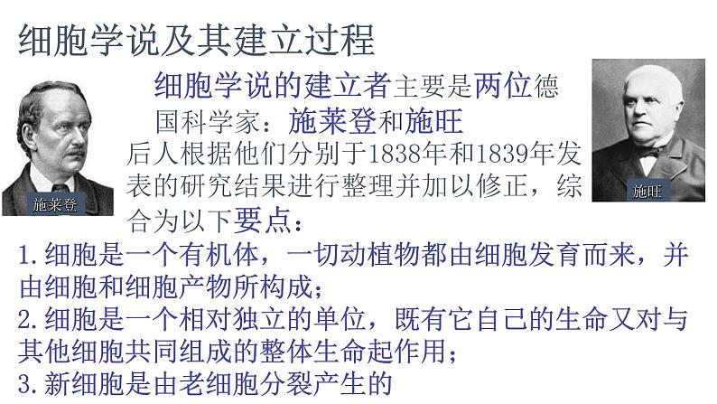 高中生物第一册 1 1细胞是生命活动的基本单位课件 20第5页
