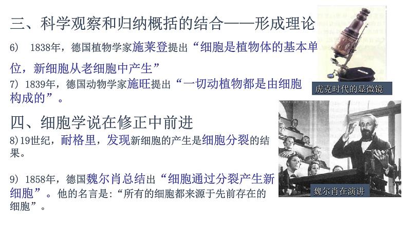 高中生物第一册 1 1细胞是生命活动的基本单位课件 20第7页
