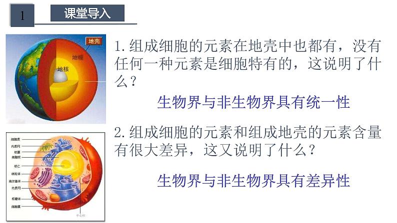 高中生物第一册 2 1 细胞中的元素和化合物 课件 (含视频+思维导图)第4页