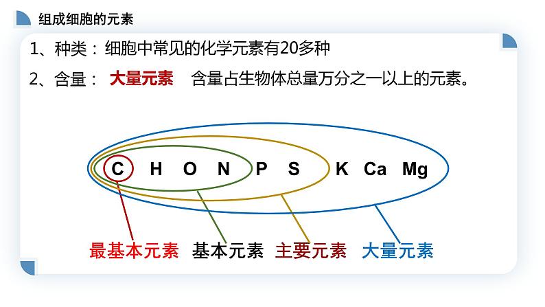 高中生物第一册 2 1细胞中的元素和化合物 课件05