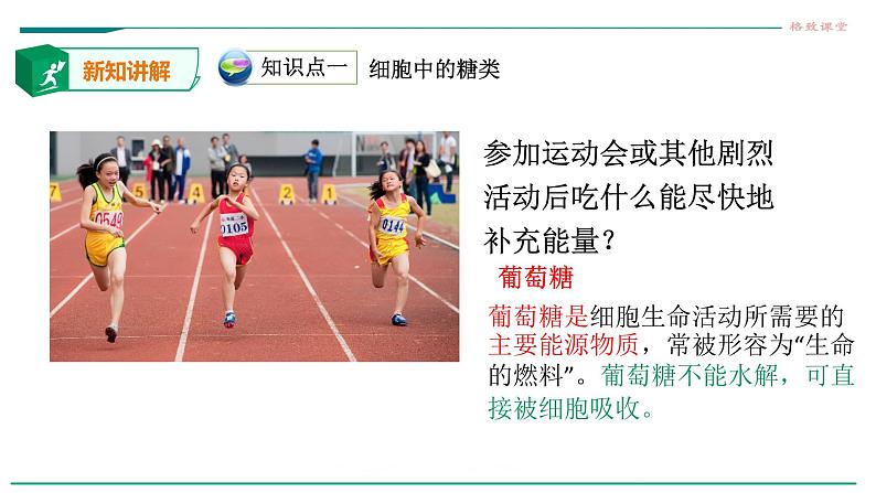 高中生物第一册 2 3细胞中的糖类和脂质课件PPT第5页
