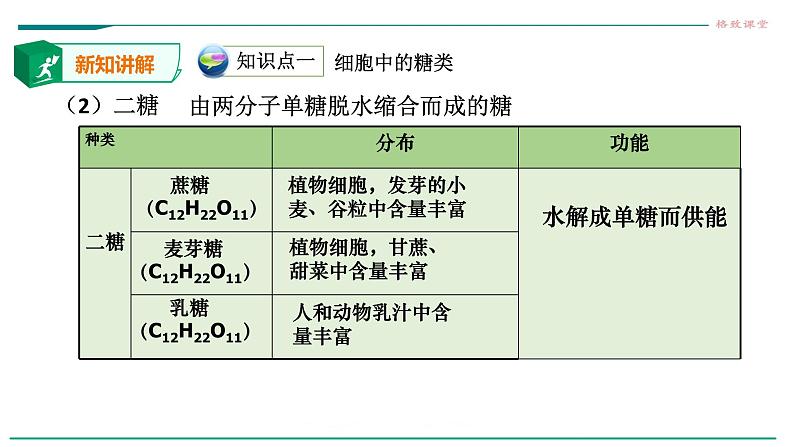 高中生物第一册 2 3细胞中的糖类和脂质课件PPT第8页