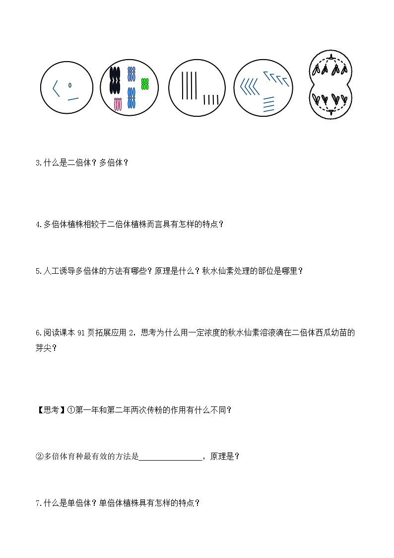 5.2 染色体变异-高一生物下学期同步教学优质学案(人教版必修2)第2页