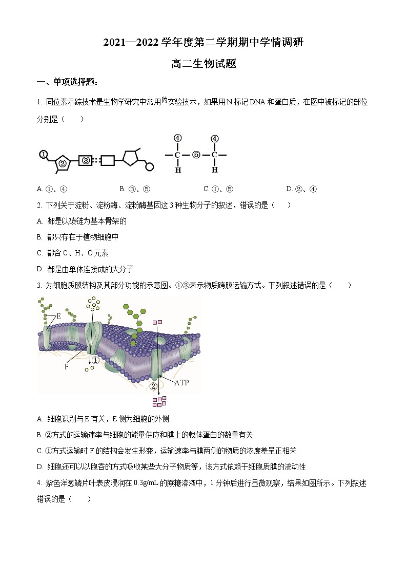 江苏省徐州市铜山区2021-2022学年高二下学期期中学情调研生物试题无答案第1页