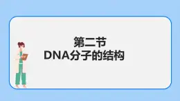 1.2 DNA分子的结构（第二节）课件+教案