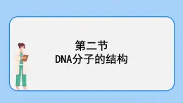 1.2 DNA的結(jié)構(gòu) 課件+教案+素材