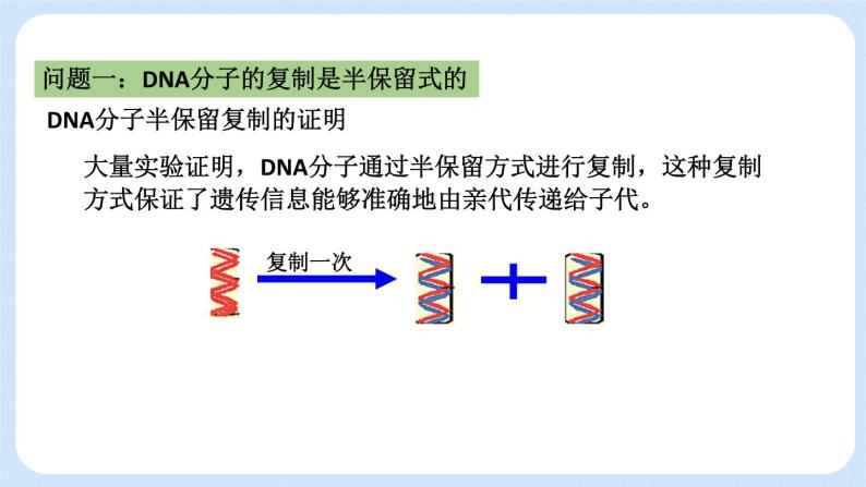1.3 DNA分子的复制 课件+教案+素材08