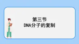 1.3 DNA的复制 课件+教案+素材