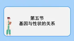 1.5 基因与性状的关系 课件+教案+素材