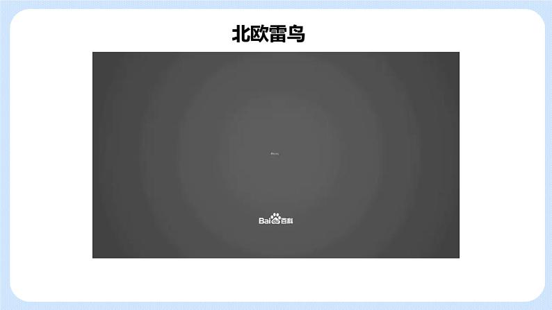第五节 基因与性状的关系 课件第3页