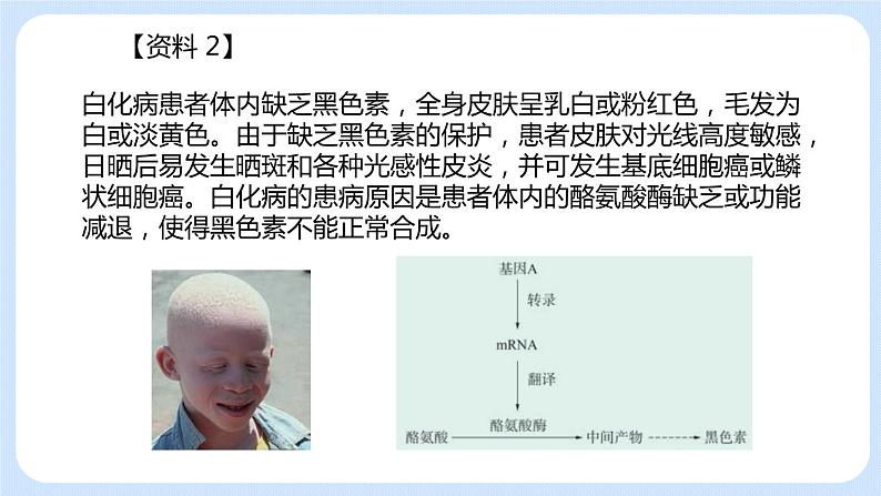 第五节 基因与性状的关系 课件第8页