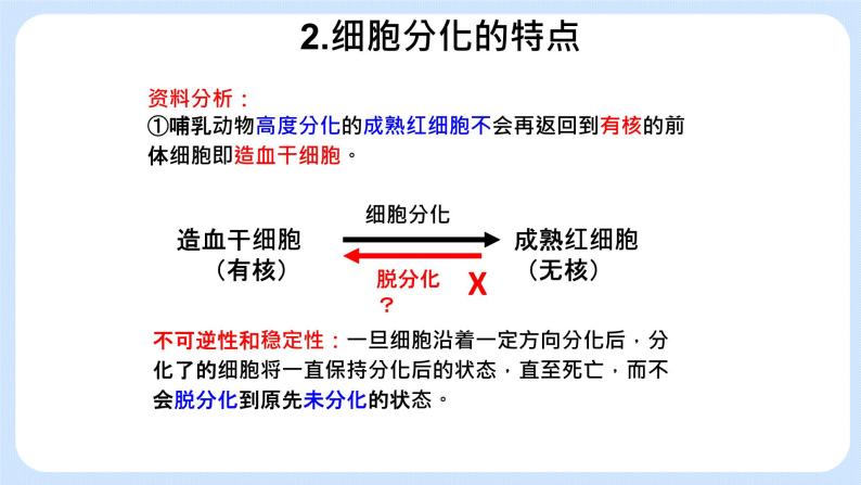 4.2细胞通过分化产生不同类型的细胞课件浙科版（2019）高中生物必修一 课件+学案06