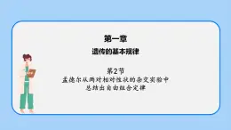 第一章  第二節(jié) 孟德?tīng)枏膬蓪?duì)相對(duì)性狀的雜交實(shí)驗(yàn)中總結(jié)出自由組合定律高一生物課件+練習(xí)（原卷+解析卷）（浙科版2019必修2）