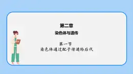 第二章 第一節(jié) 染色體通過(guò)配子傳遞給后代高一生物課件+練習(xí)（原卷+解析卷）（浙科版2019必修2）