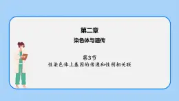 第二章 第三節(jié)  性染色體上基因的傳遞和性別相關(guān)聯(lián)高一生物課件+練習(xí)（原卷+解析卷）（浙科版2019必修2）
