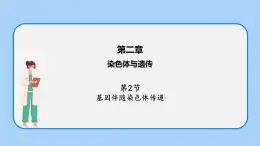 第二章 第二節(jié) 基因伴隨染色體傳遞-高一生物課件+練習(xí)（原卷+解析卷）（浙科版2019必修2）