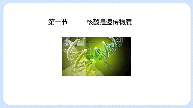 第三章 第一节 核酸是遗传物质(课件)-高一生物课件(浙科版2019必修2)03