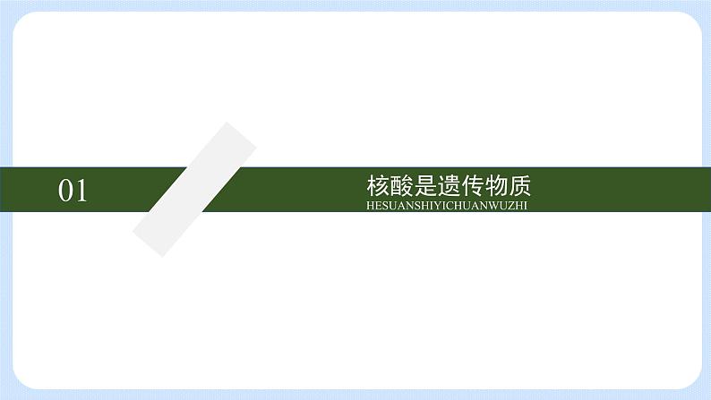 第三章 第一节 核酸是遗传物质(课件)-高一生物课件(浙科版2019必修2)05