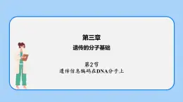 第三章  第二節(jié)  遺傳信息編碼在DNA分子上（課件）-高一生物課件（浙科版2019必修2）